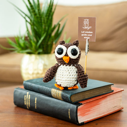 Crocheted owl with a sign on top of books, plant in the background